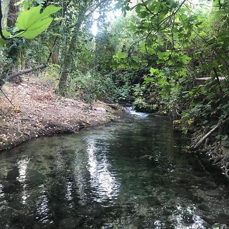 Bosque Alto Villa El Bosque Ngoại thất bức ảnh