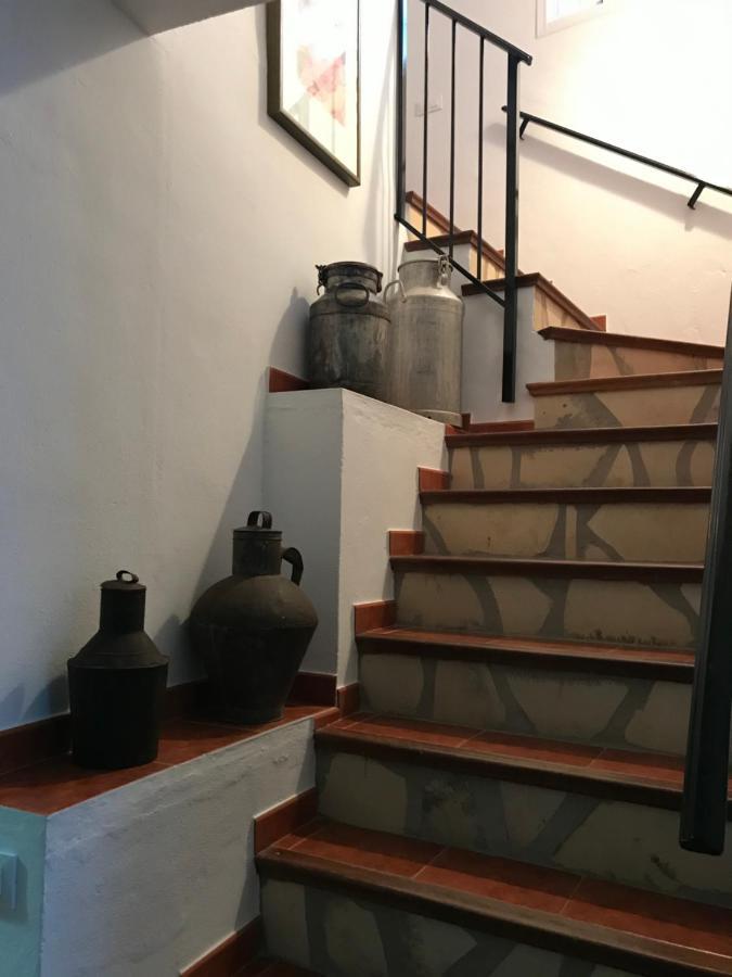 Bosque Alto Villa El Bosque Ngoại thất bức ảnh
